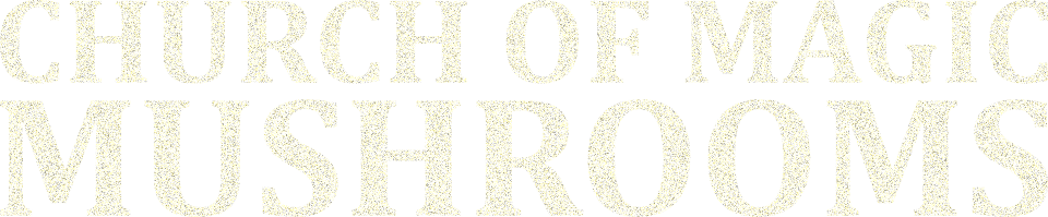 church of magic mushrooms